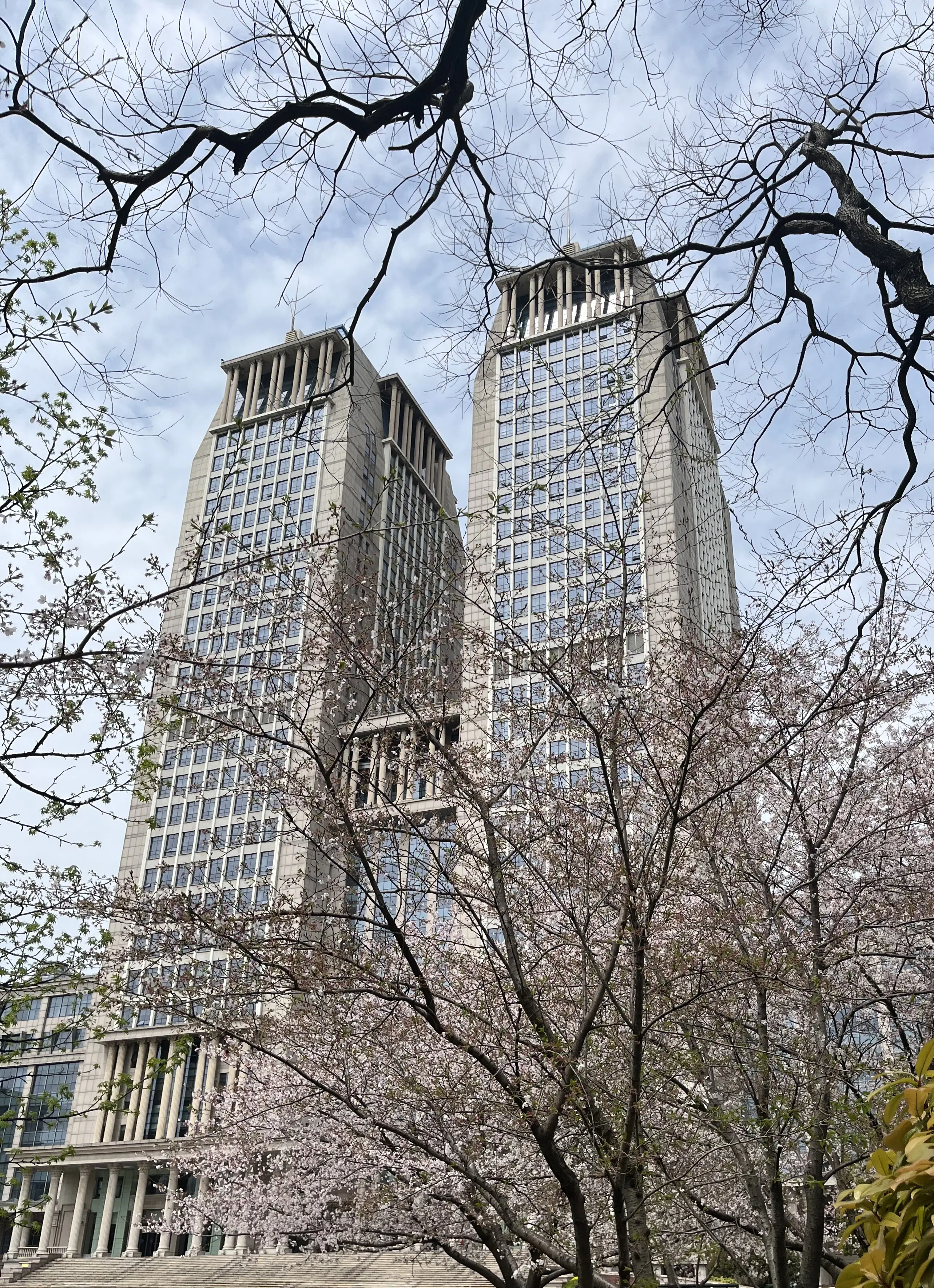 image-20230814113033611